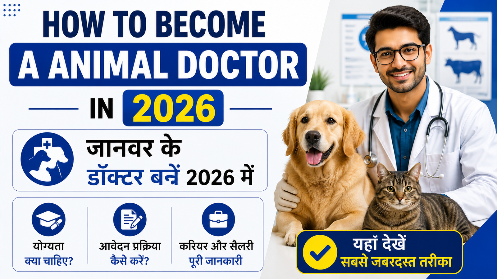 How to Become A Animal Doctor In 2026